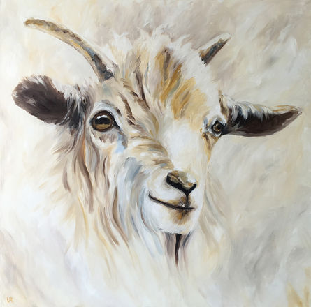 Woolly Goat