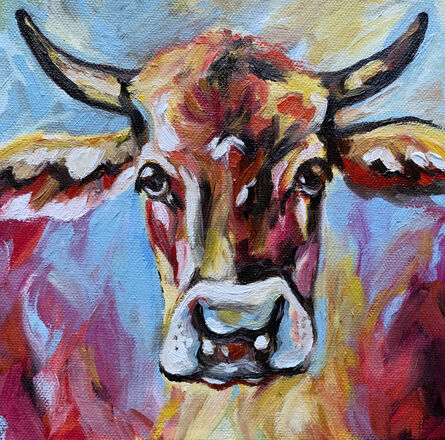 Coloured Cow 1
